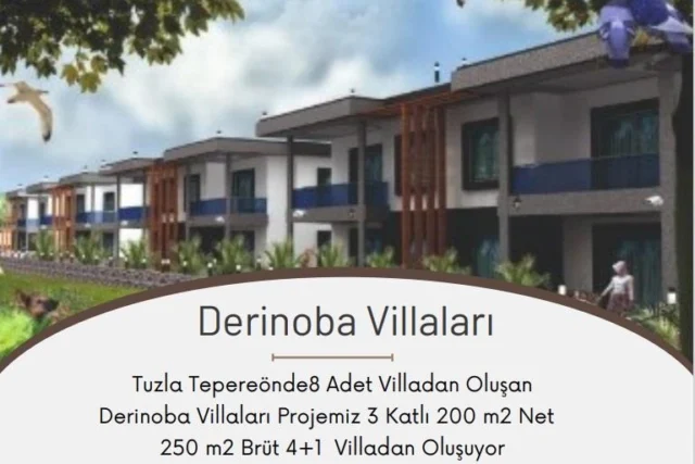 Tuzla Tepeören Derinoba Villaları